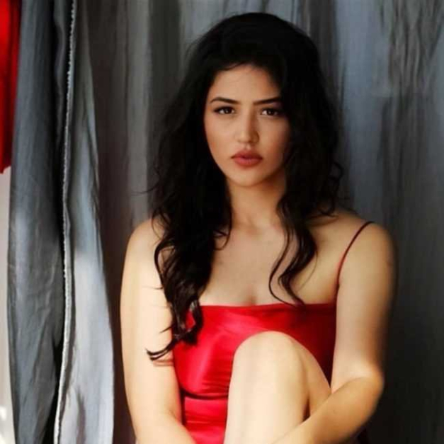 Most Tasteful Indian Escorts in Dubai